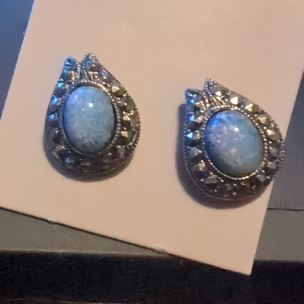 Avon Silver and Blue Oval Earrings